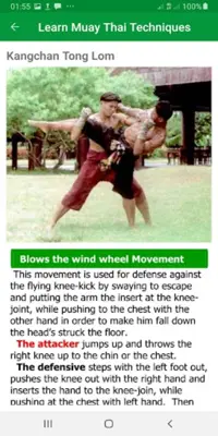 Muay Thai MMA Techniques android App screenshot 3