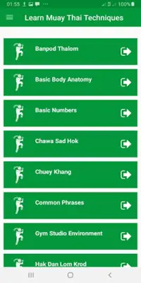 Muay Thai MMA Techniques android App screenshot 5